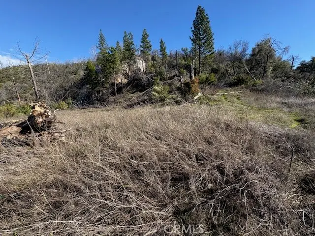 8870 Oro Quincy, Berry Creek, CA 95916 - Image #2