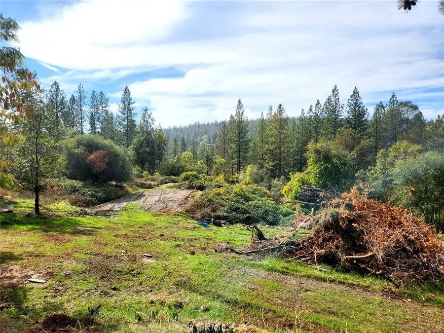 9366 Ranger Trail, Oregon House, CA 95962 - #2