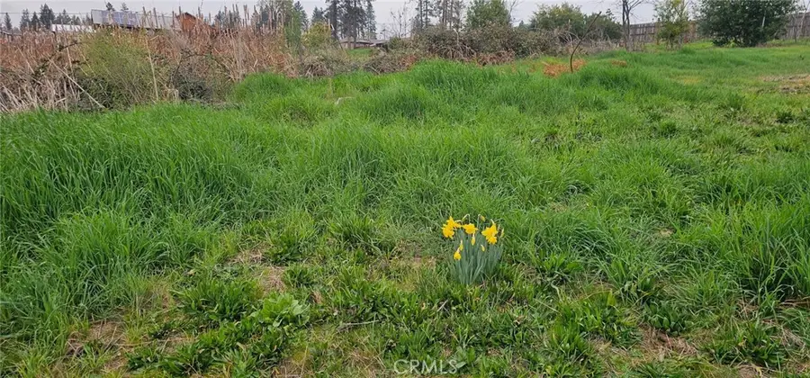 5832 Ingalls, Paradise, CA 95969 - #2