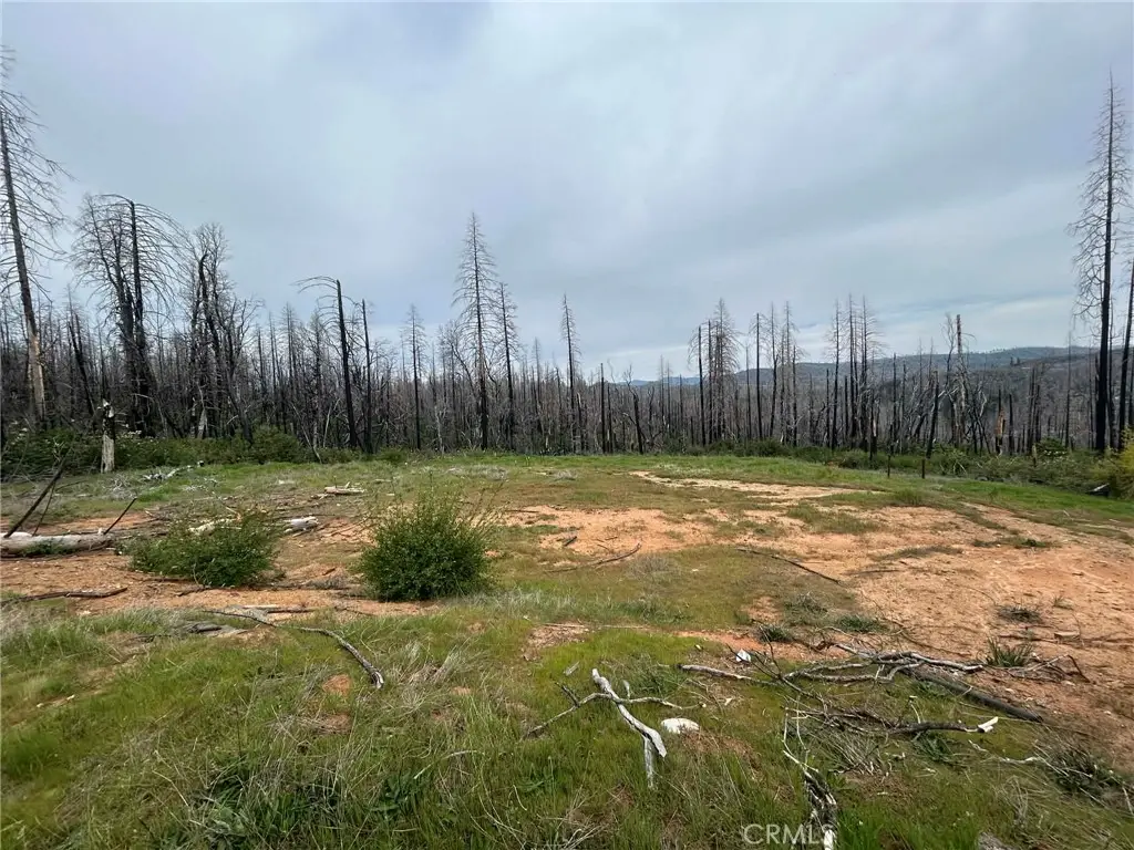 83 Oak Tree Lane, Berry Creek, CA 95916 - #1