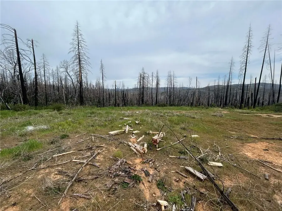 83 Oak Tree Lane, Berry Creek, CA 95916 - #2