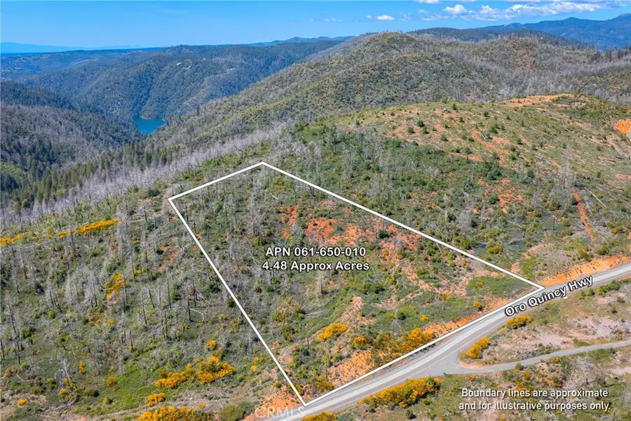 0 Pavlik Pines Road, Berry Creek, CA 95916 - #3