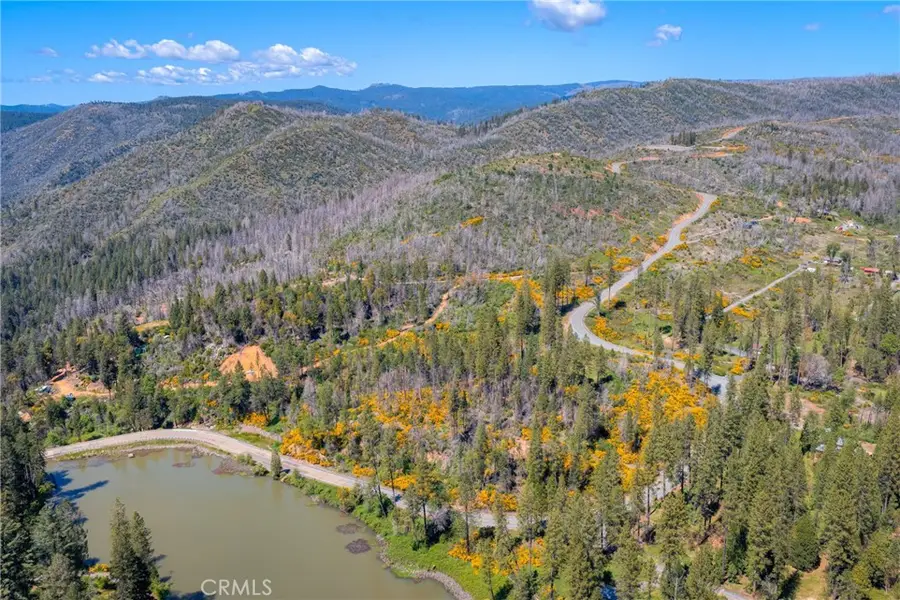 0 Pavlik Pines Road, Berry Creek, CA 95916 - #2