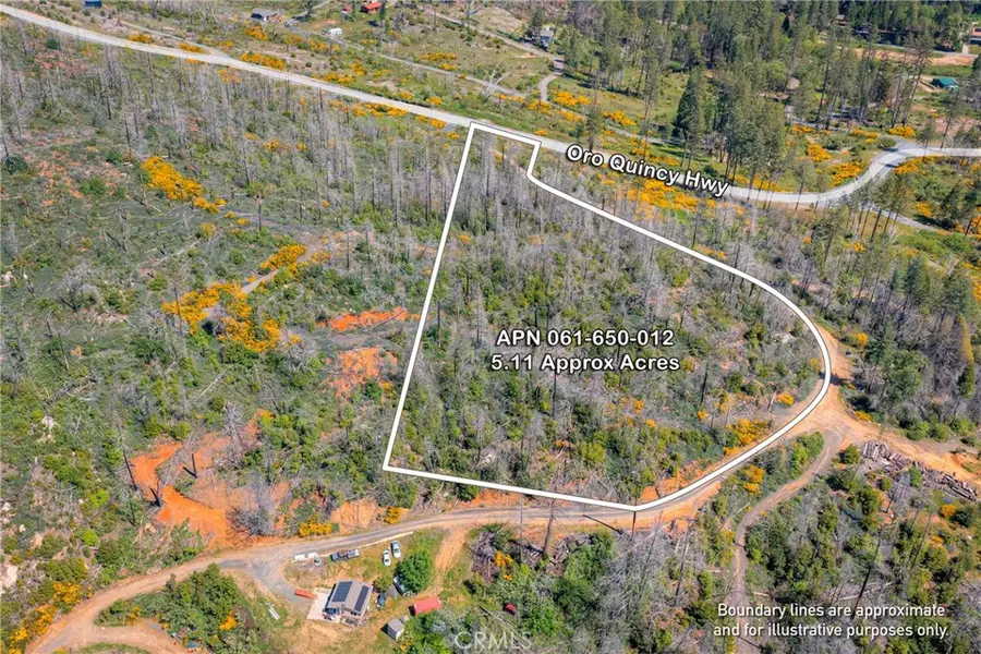 0 Pavlik Pines Road, Berry Creek, CA 95916 - #3