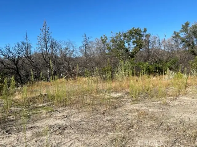 55 Cedar Tree, Oroville, CA 95966 - #1