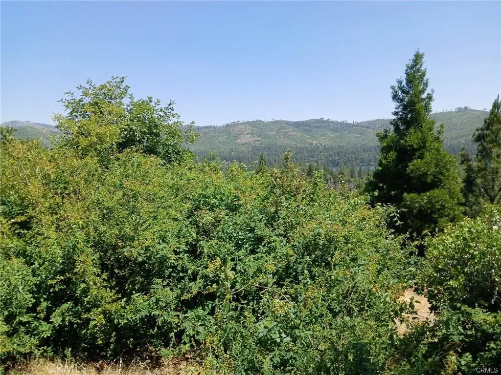 0 Astoria, Concow, CA 95965 - #1