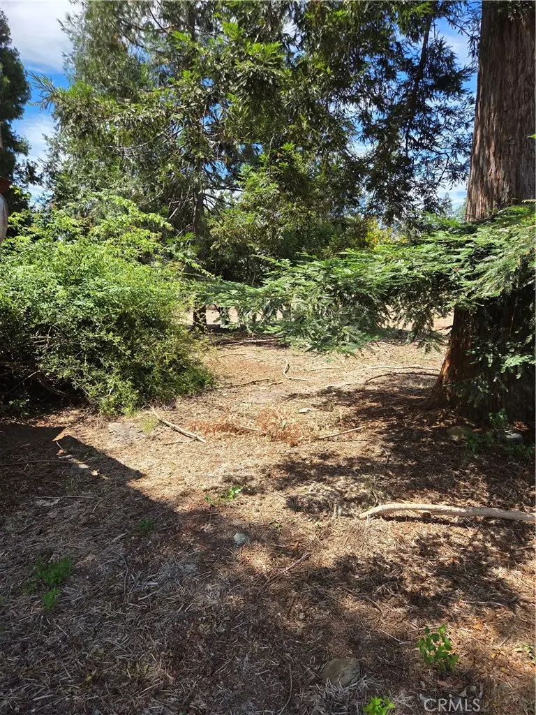 1572 Adams Road, Paradise, CA 95969 - #2