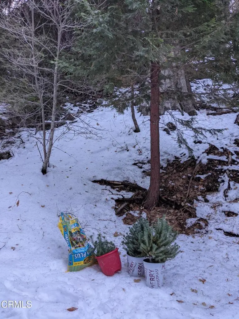 0 Fleming Creek, Lake Arrowhead, CA 92352 - Image #3