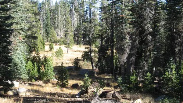 0 Sugar Pine, Berry Creek, CA 95972
