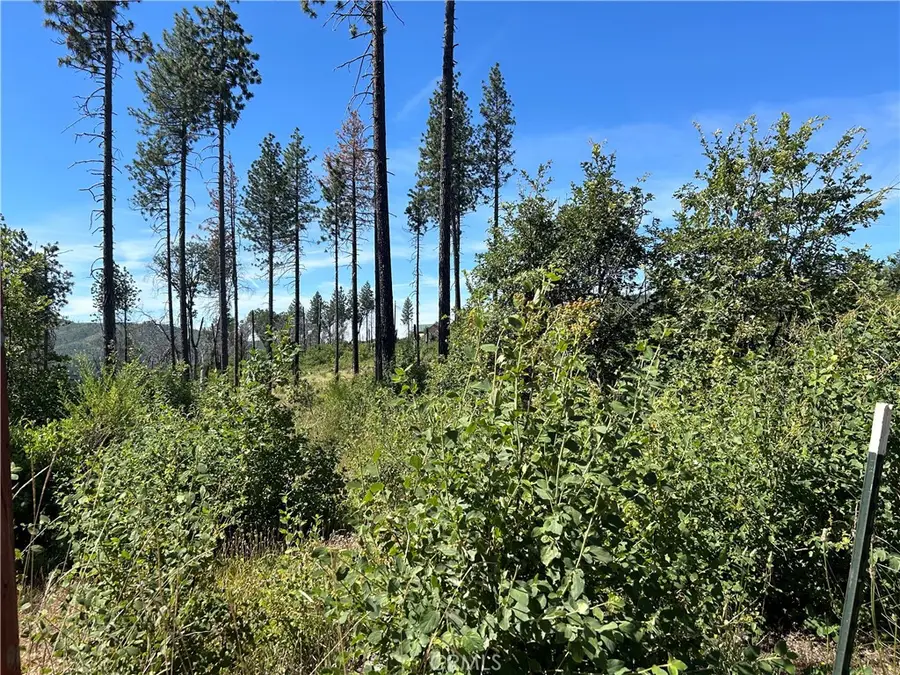 3520 Hoffman Road, Oroville, CA 95965 - Image #3