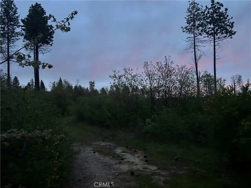 1 Hog Ranch Road, Concow, CA 94965 - Image #1