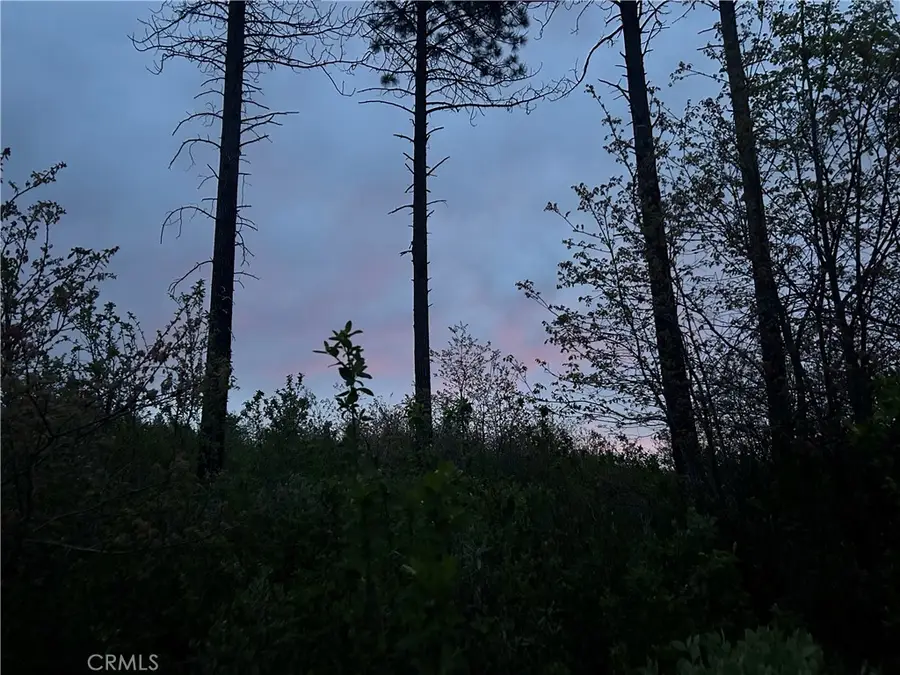 1 Hog Ranch Road, Concow, CA 94965 - Image #2