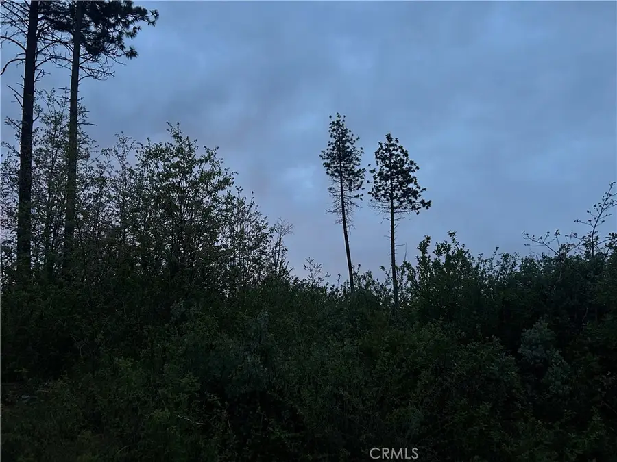 1 Hog Ranch Road, Concow, CA 94965 - Image #3