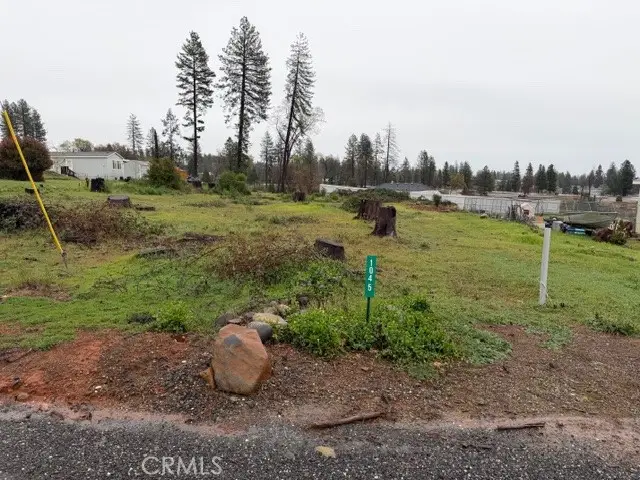 1045 Maple Park, Paradise, CA 95969 - #1