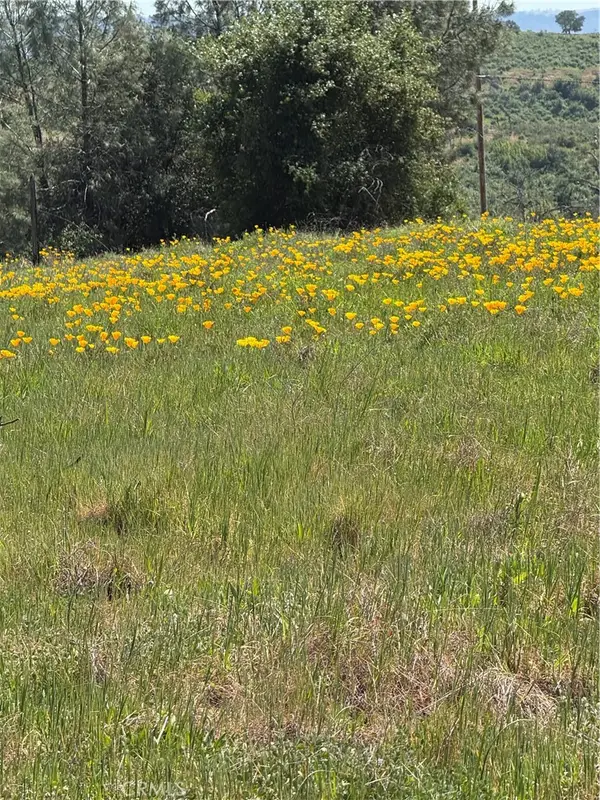 0 Round Valley Ranch Road, Paradise, CA 95969