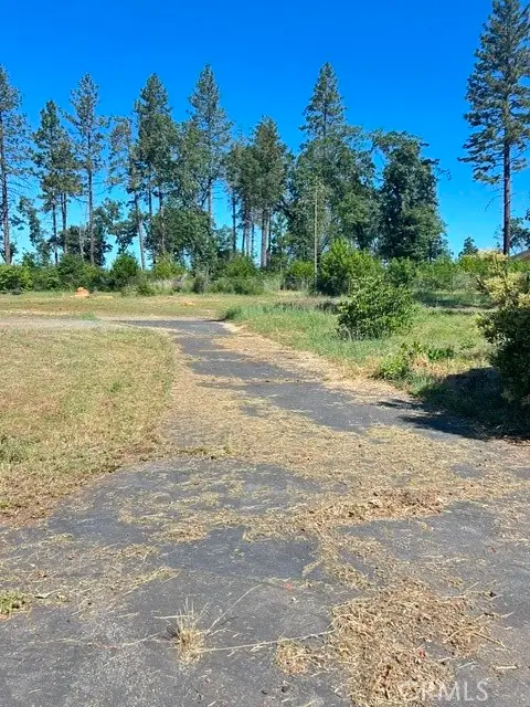 1345 Manahattan, Paradise, CA 95969 - #3