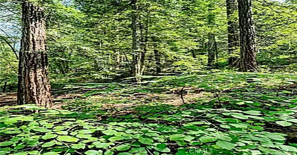 18176 Hwy 116, Guerneville, CA 95446