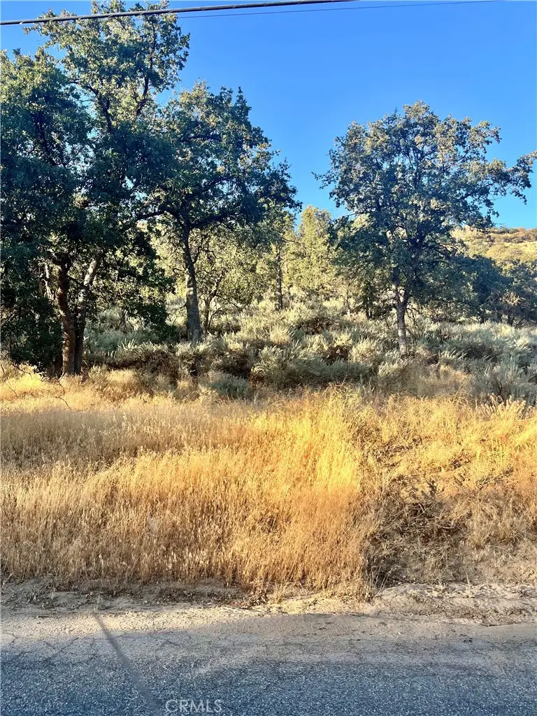 0 Alps Drive, Alpine Forest, CA 93561 - #2