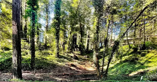 18176 Hwy 116, Guerneville, CA 95446