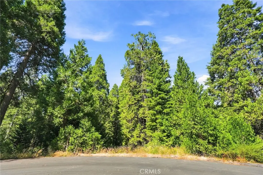 39730 Fox Glove Lane, Shaver Lake, CA 93664 - #1