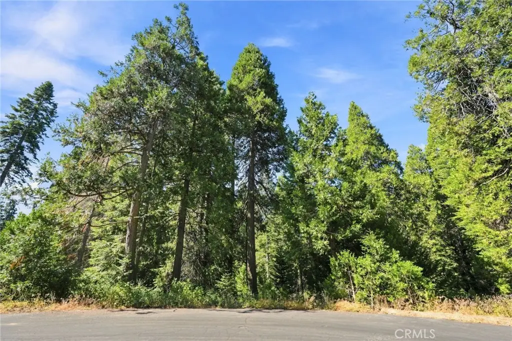 0 Foxglove Lane, Shaver Lake, CA 93664 - #1