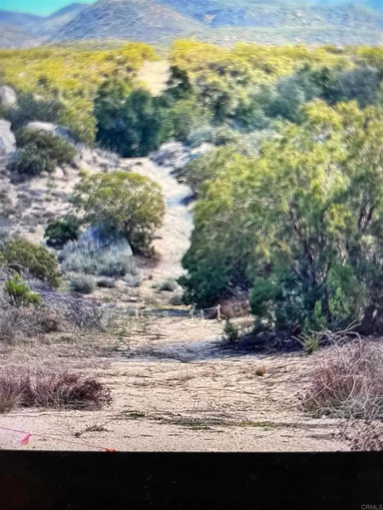 38309 Valley Oak Lane, Warner Springs, CA 92086 - #3