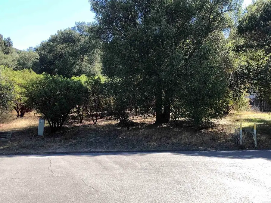 8347 Foothill Blvd, Pine Valley, CA 91962 - #2