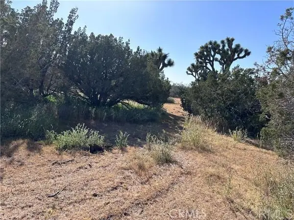 Daisy Road, Oak Hills, CA 92344