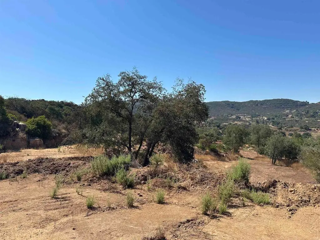 16223 Lawson Valley Road, Jamul, CA 91935 - #1