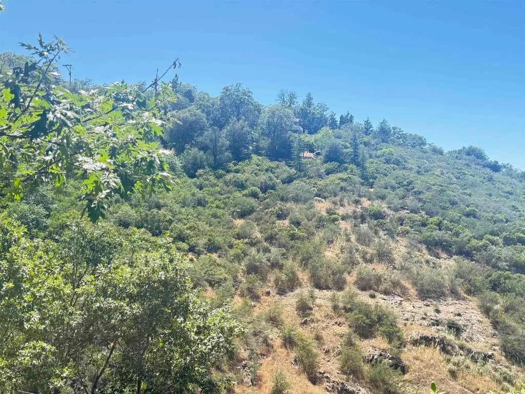 Azalea, Julian, CA 92036 - #1