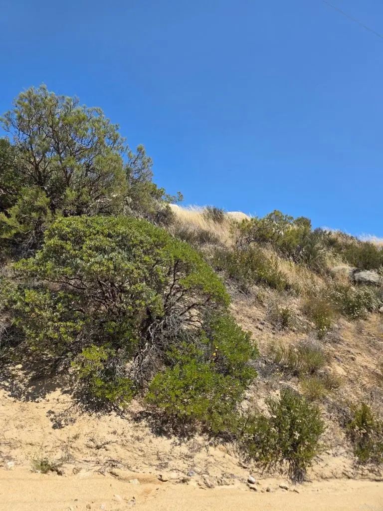 789 Crazy Horse Canyon Drive, Aguanga, CA 92536 - #2