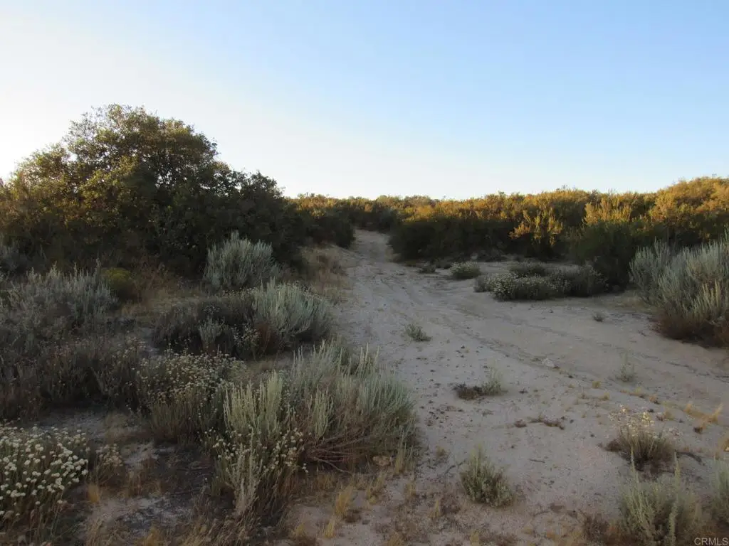 109.57 ACRES Highway 94, Boulevard, CA 91905 - #1