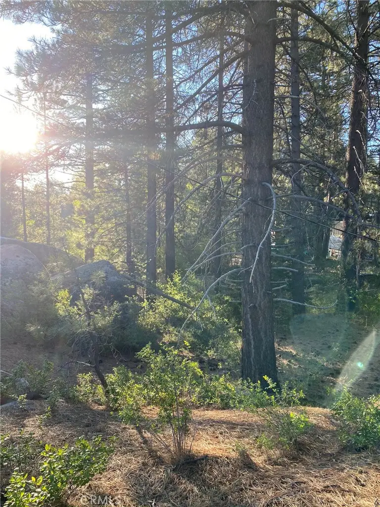 0 Cienega Road, Big Bear, CA 92315 - #1