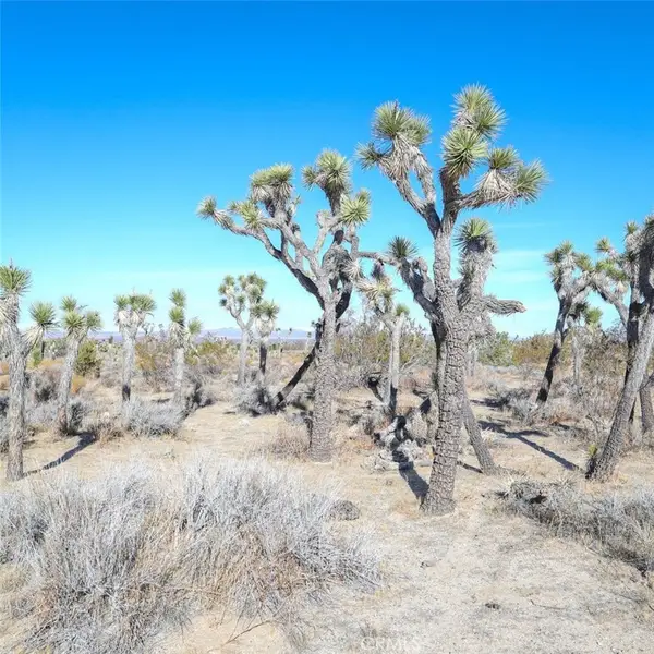0 W Ave 12, Llano, CA 93544