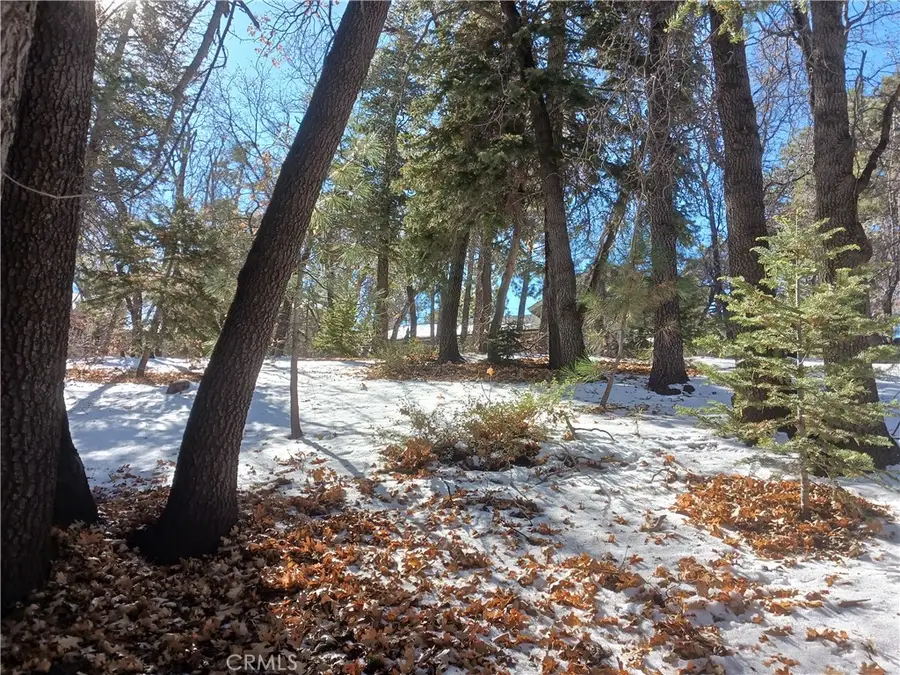 0 Columbine Drive, Big Bear City, CA 92314 - #2