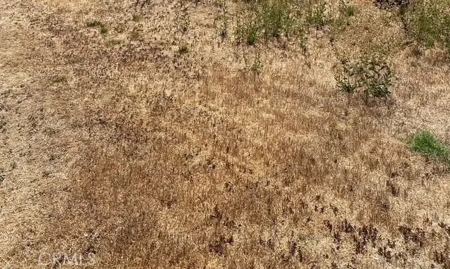 0 10th Street E, Lancaster, CA 93535 - Image #1