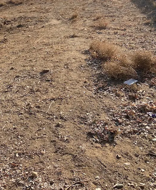 65 E Avenue G-12, Lancaster, CA 93535 - Image #1