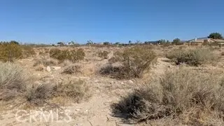 #2