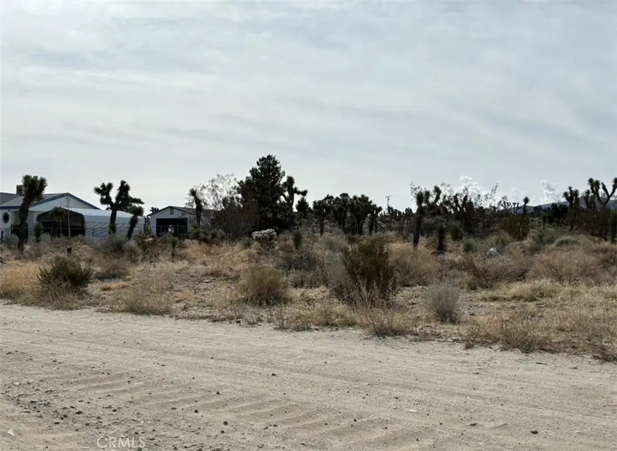 0 Mono Road, Pinon Hills, CA 92372 - #2