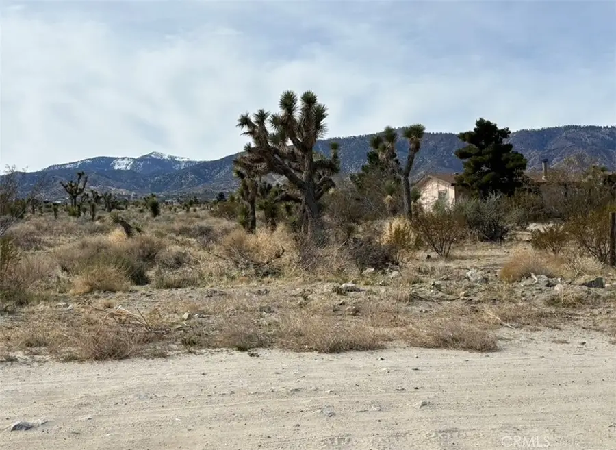 0 Mono Road, Pinon Hills, CA 92372 - #3