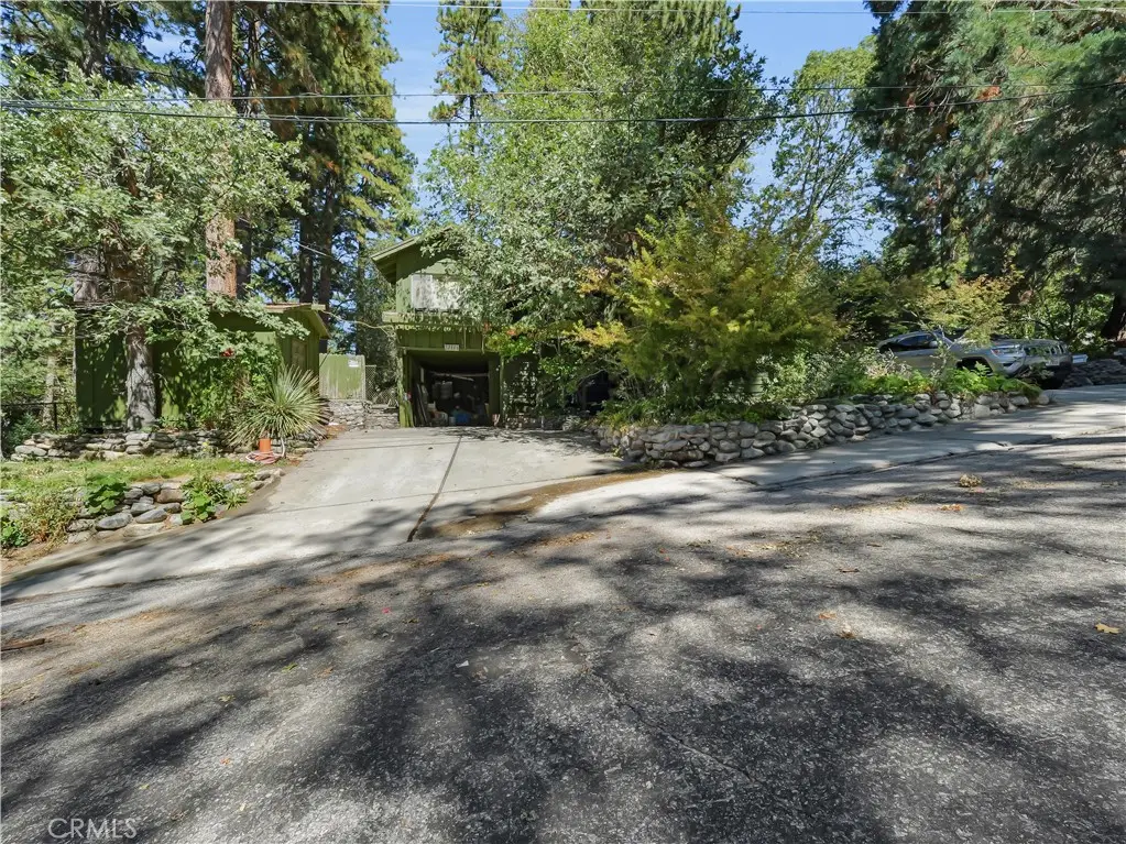 37590 Live Oak, Angelus Oaks, CA 92305 - #1