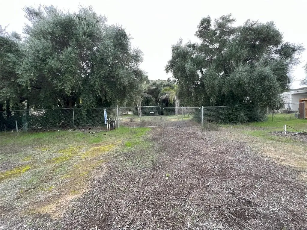 20787 Alameda Del Monte, Wildomar, CA 92595 - #1