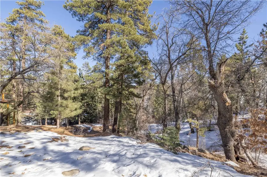 0 Pigeon Road, Big Bear Lake, CA 92315 - Image #2