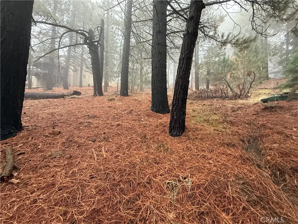 0 Poplar, Running Springs, CA 92382 - Image #1