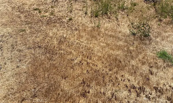 0 Vac/vic Ave #7/223, Llano, CA 93544