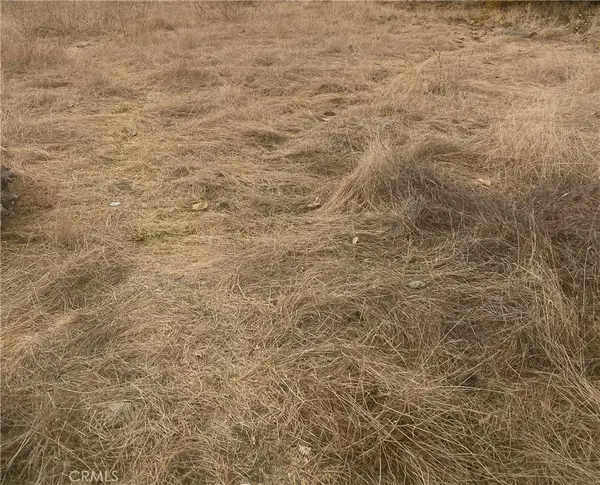 0 Vac/vic, Llano, CA 93544