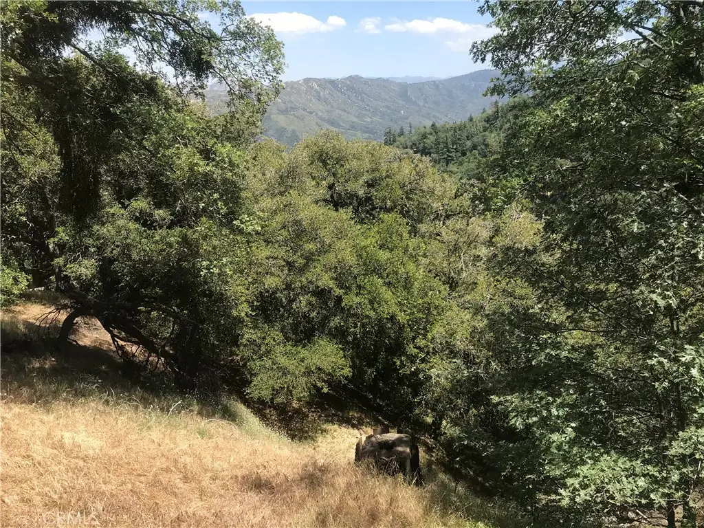 0 Buck Road, Cedarpines Park, CA 92322 - #1
