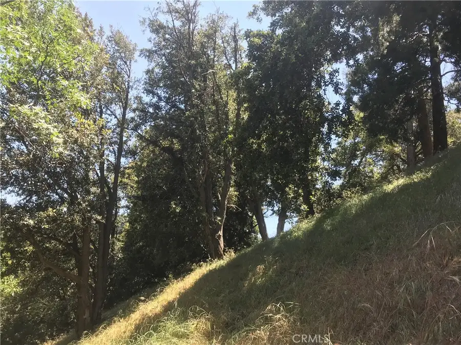 0 Buck Road, Cedarpines Park, CA 92322 - #2