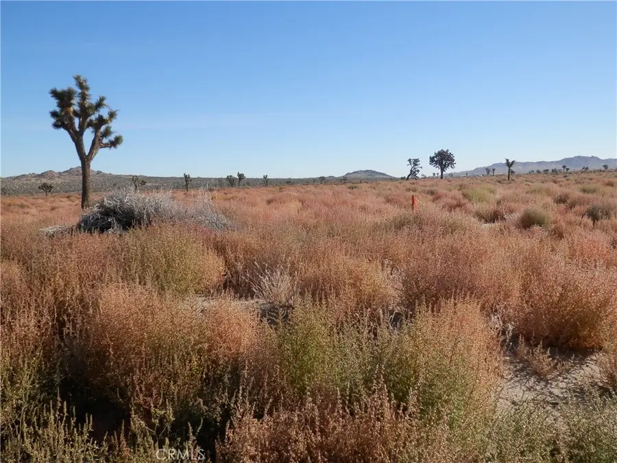 0 E 110 E./ Ave O12, Palmdale, CA 93591 - #3