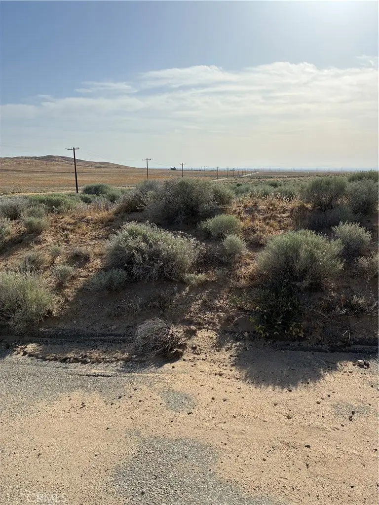 0 Cholla Road, Helendale, CA 92342 - #1